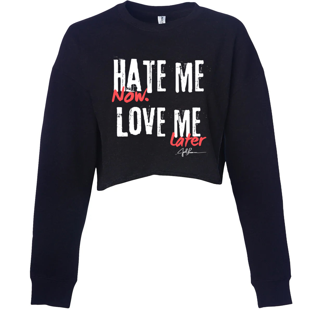 Le joëlisme « Détestez-moi maintenant, aimez-moi plus tard »