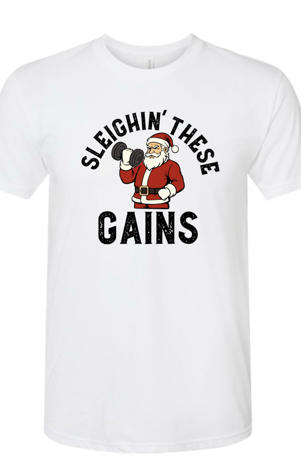 SLEIGHIN THESE GAINS