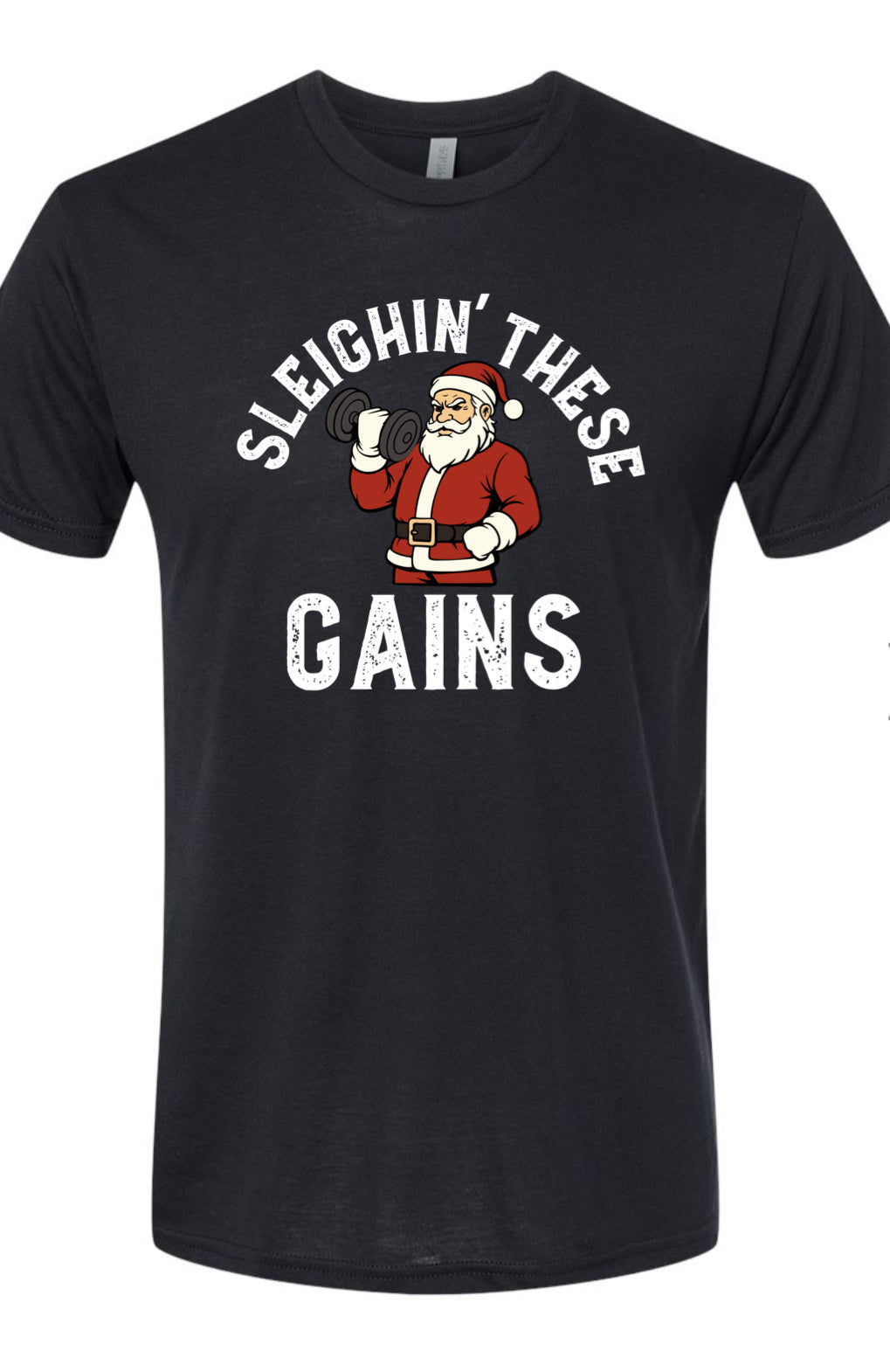 SLEIGHIN THESE GAINS