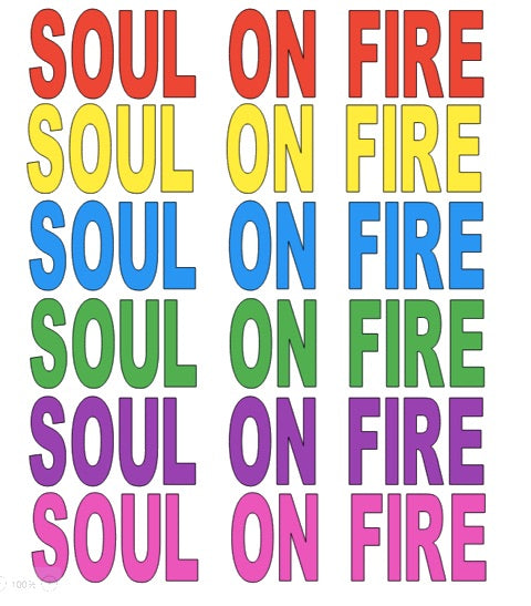 SOUL ON FIRE CROP TEE